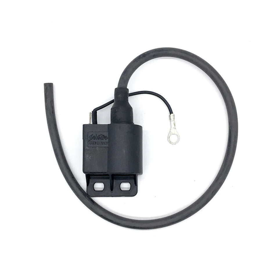 IAME KA100 COIL - SELECTRA - (273)