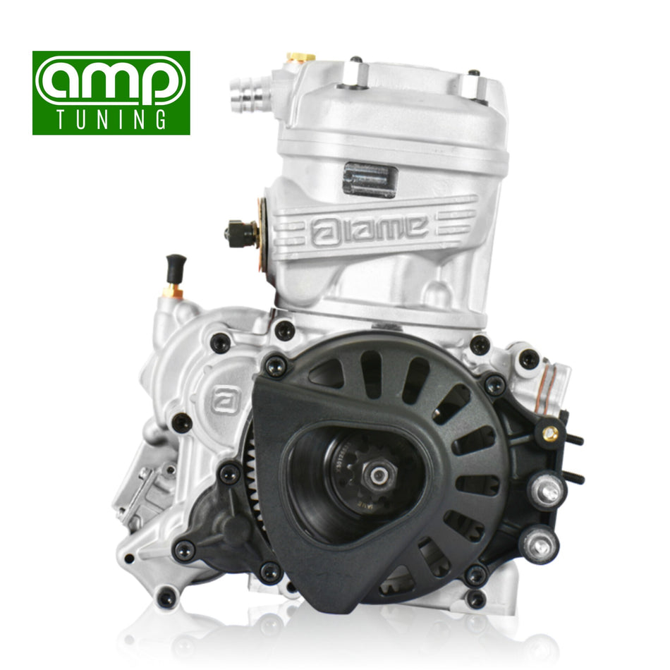X30 ENGINE REBUILD - AMP TUNING (VIC)