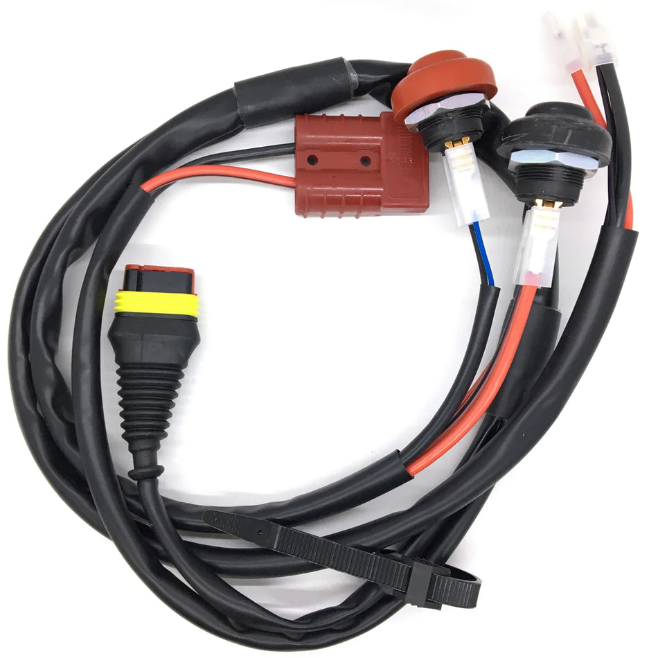 WIRING LOOM IAME KA100 | X30