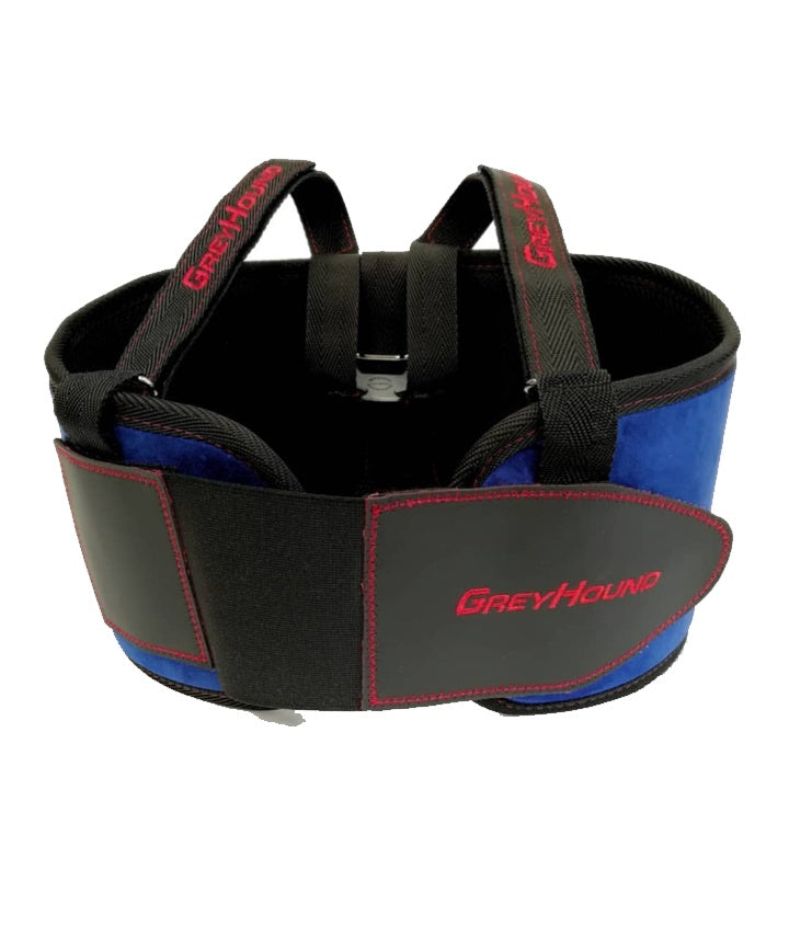 GREYHOUND RIB PROTECTOR
