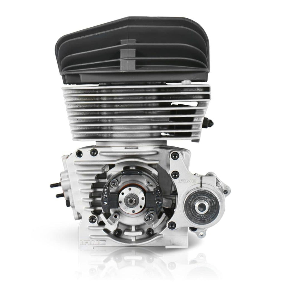 IAME KA100 ENGINE COMPLETE - Factory Fitted Roller Bearings