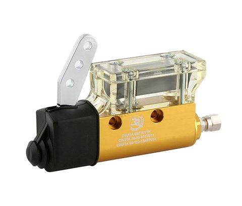 RIGHETTI MASTER CYLINDER (Gold)